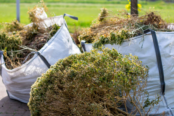 Best Dumpster Rental Services  in Volcano Golf Course, HI